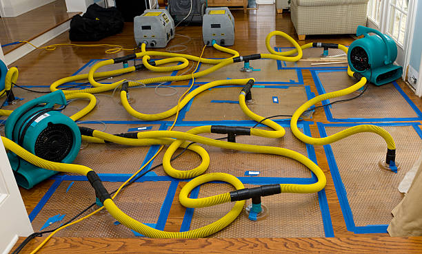 Professional Water Damage Repair technician working in Richland, MO
